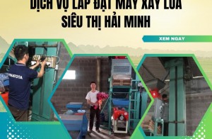 Đánh Giá Dịch Vụ Lắp Đặt Máy Xay Lúa Siêu Thị Hải Minh