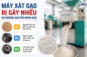Máy Xát Gạo Bị Gãy Hạt Nhiều Nguyên Nhân Do Đâu