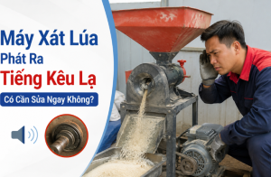 Máy Xát Lúa Phát Ra Tiếng Kêu Lạ Có Cần Sửa Ngay Không