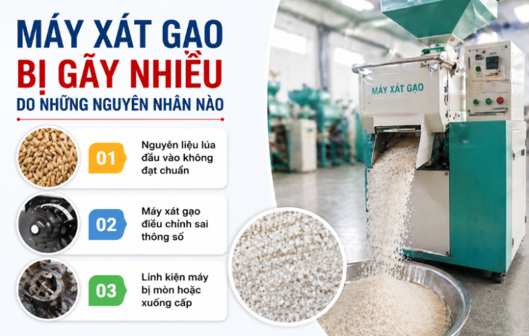 Máy Xát Gạo Bị Gãy Hạt Nhiều Nguyên Nhân Do Đâu