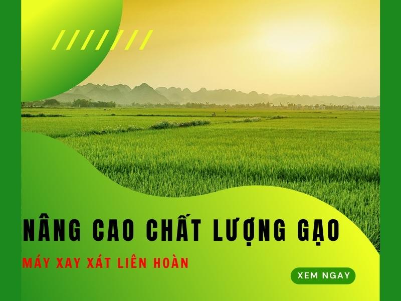 Nang-Cao-Chat-Luong-Gao-Ngay-Hom-Nay-Voi-May-Xay-Xat-Lien-Hoan