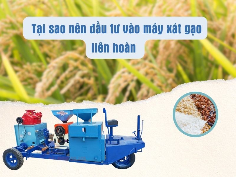 Tại sao nên đầu tư vào máy xát gạo liên hoàn
