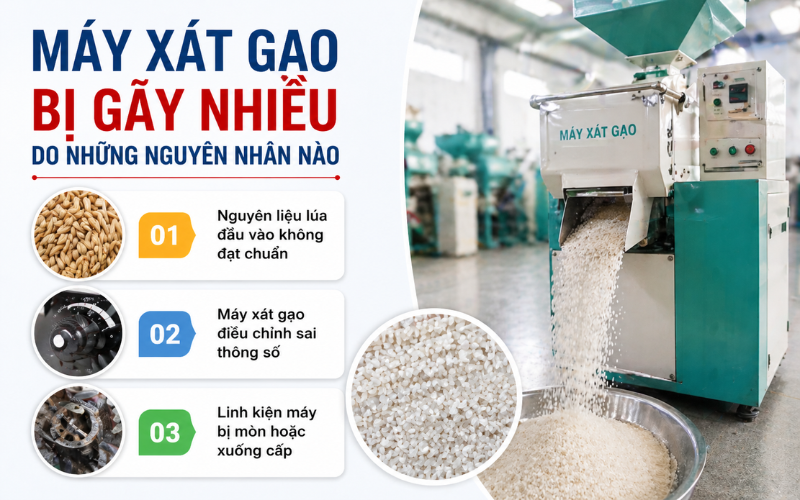 Máy Xát Gạo Bị Gãy Hạt Nhiều Nguyên Nhân Do Đâu