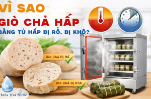 Vì Sao Giò Chả Hấp Bằng Tủ Hấp Bị Rỗ, Bị Khô?