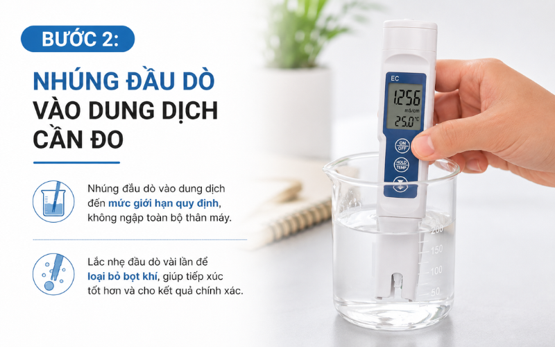 Bước 2: Nhúng đầu dò vào dung dịch cần đo