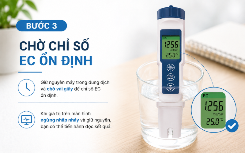 Bước 3: Chờ chỉ số EC ổn định