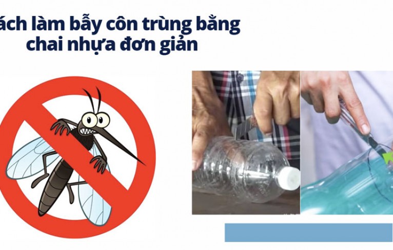 Cách làm bẫy côn trùng bằng chai nhựa đơn giản