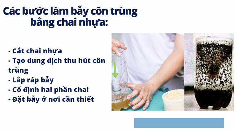  Hướng dẫn chi tiết cách làm bẫy côn trùng bằng chai nhựa