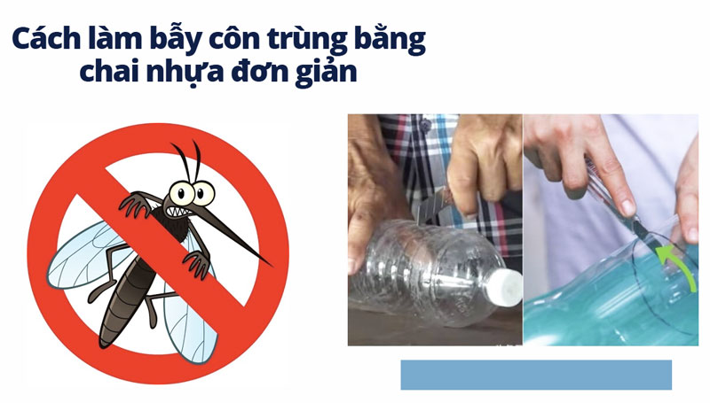 Cách làm bẫy côn trùng bằng chai nhựa đơn giản