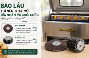 Bao lâu thì nên thay mới đĩa nhám và chổi cước máy gọt vỏ củ quả?