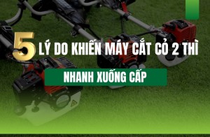 5 lý do khiến máy cắt cỏ 2 thì nhanh xuống cấp