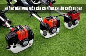 Hướng Dẫn Mua Máy Cắt Cỏ Đúng Chuẩn Chất Lượng