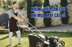 Những điều cần lưu ý khi mua máy cắt cỏ