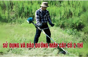 Sử dụng và bảo dưỡng máy cắt cỏ 2 thì