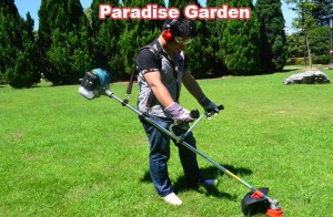 Hướng dẫn bảo dưỡng máy cắt cỏ hiệu quả nhất