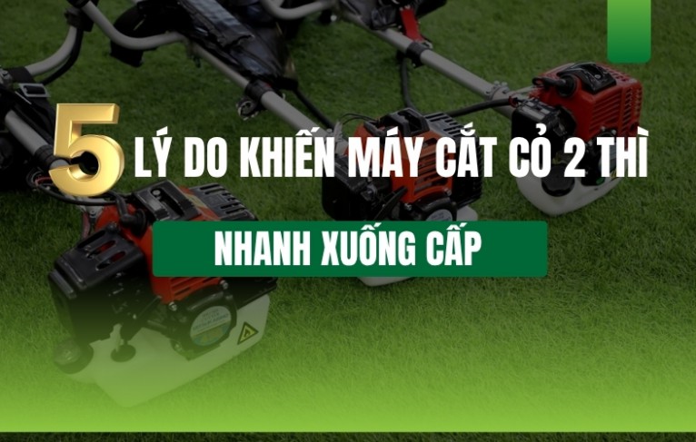 5 lý do khiến máy cắt cỏ 2 thì nhanh xuống cấp