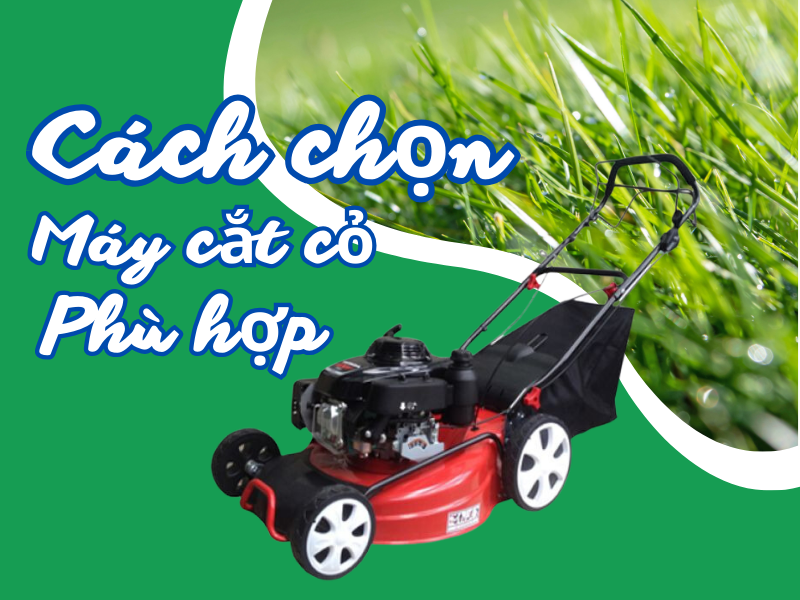 Bạn có biết cách chọn mua máy cắt cỏ như thế nào phù hợp?