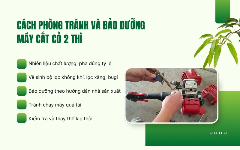 Cách phòng tránh và bảo dưỡng máy cắt cỏ 2 thì