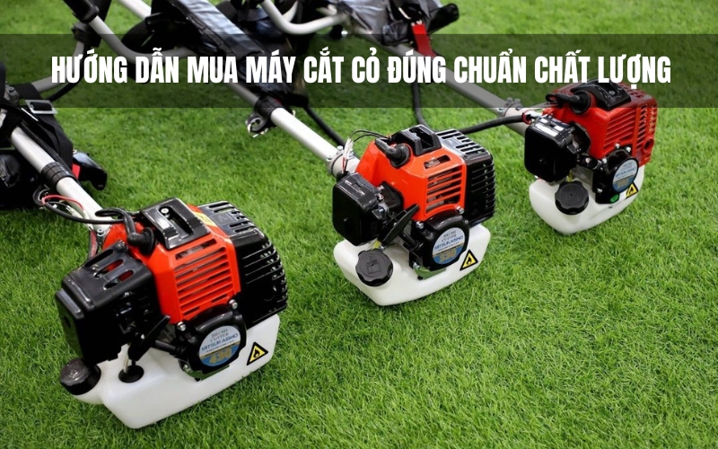 Hướng Dẫn Mua Máy Cắt Cỏ Đúng Chuẩn Chất Lượng