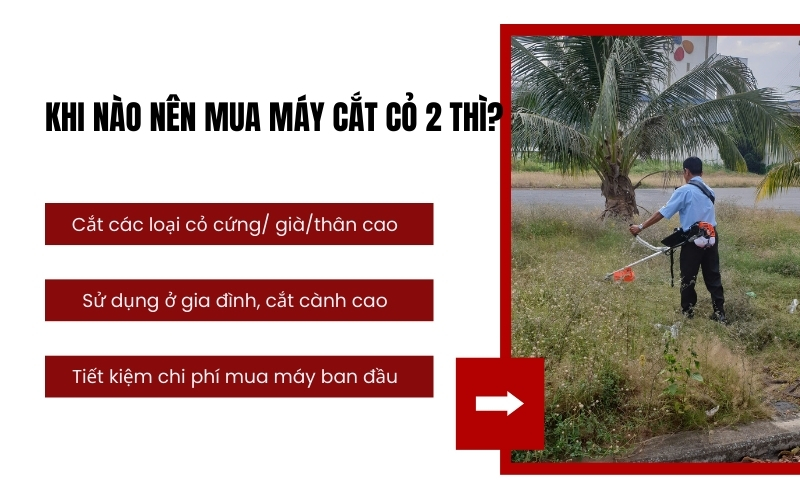 Khi nào nên mua máy cắt cỏ 2 thì?