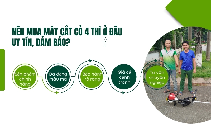Nên mua máy cắt cỏ 4 thì ở đâu uy tín, đảm bảo?