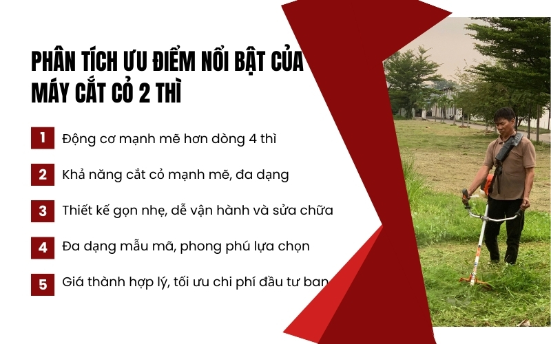 Phân tích ưu điểm nổi bật của máy cắt cỏ 2 thì
