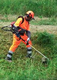 Sử dụng máy xạc cỏ giúp làm sạch cỏ nhanh chóng