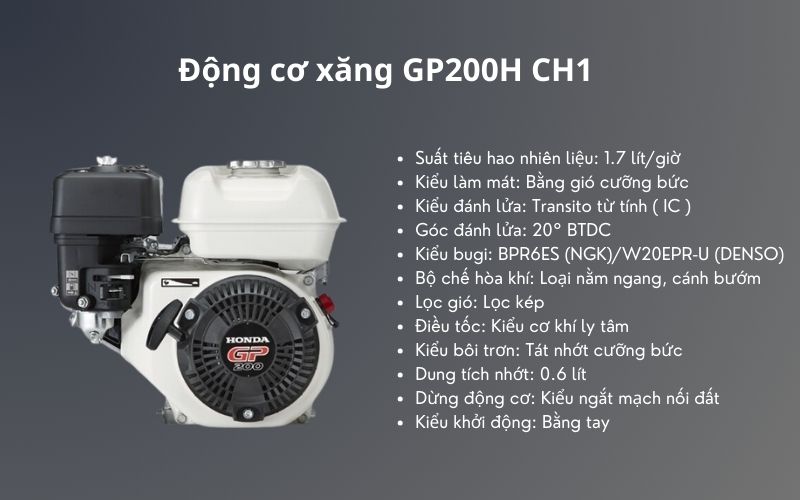  Ðộng cơ xăng GP200H CH1