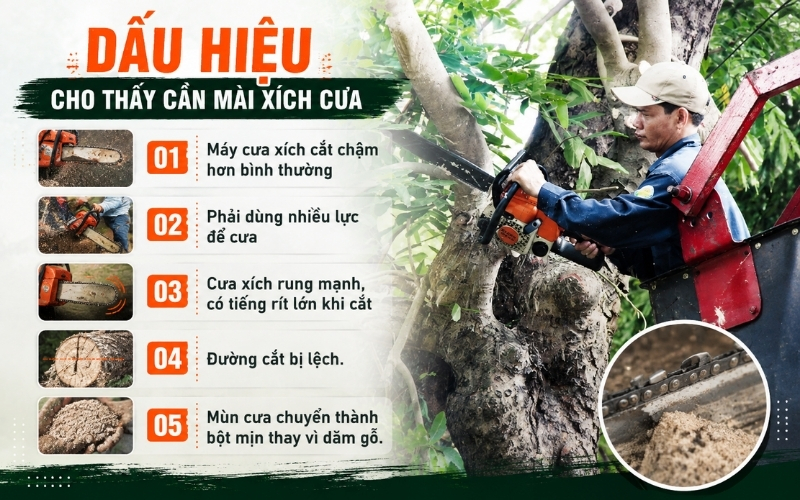 Dấu hiệu cho thấy cần mài xích cưa
