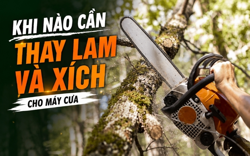 Khi nào cần thay lam và xích cho máy cưa 