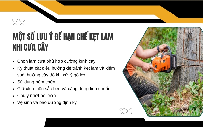 Một số lưu ý để hạn chế kẹt lam khi cưa cây