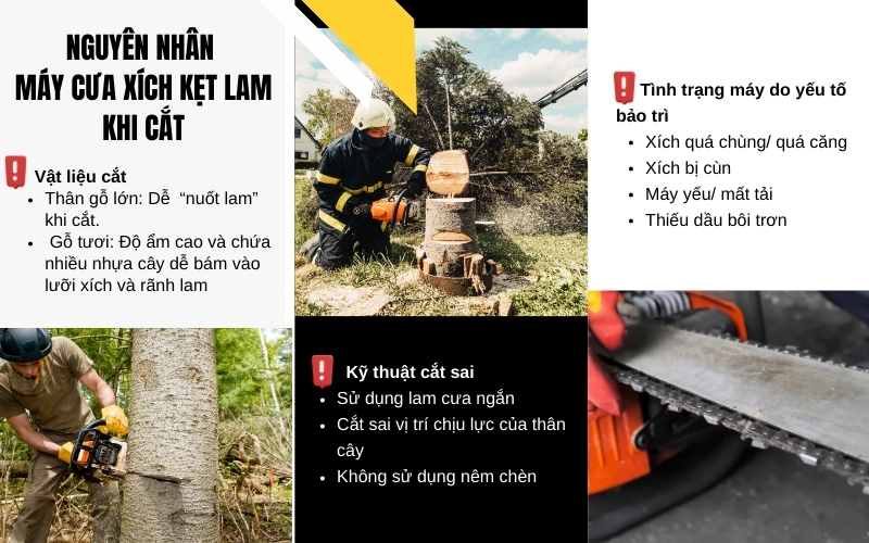Nguyên nhân máy cưa xích kẹt lam khi cắt