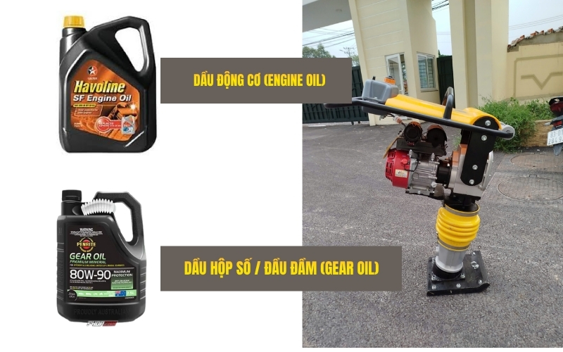 Các loại dầu sử dụng cho đầm cóc