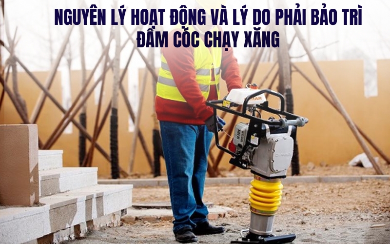 Nguyên lý hoạt động và lý do phải bảo trì đầm cóc chạy xăng