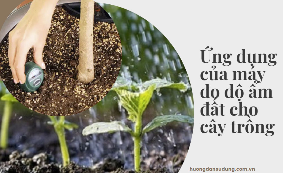 Ứng dụng của máy đo độ ẩm đất cho cây trồng