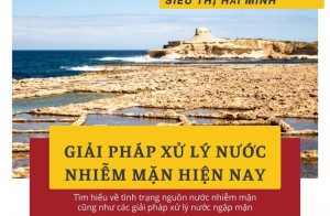 Giải pháp xử lý nước nhiễm mặn hiện nay