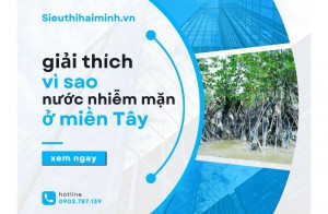 Giải thích vì sao nước ở miền Tây dễ bị nhiễm mặn?