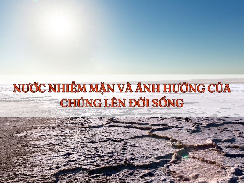 Giải pháp xử lý nước nhiễm mặn hiện nay