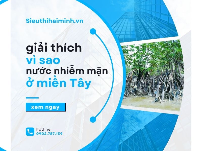 Giải thích vì sao nước ở miền Tây dễ bị nhiễm mặn?