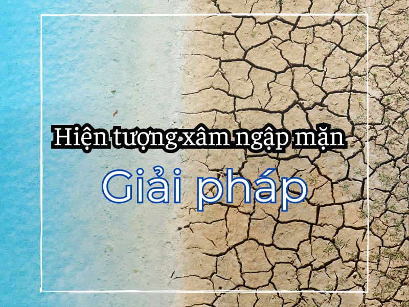 Hiện tượng xâm nhập mặn và giải pháp hiện nay