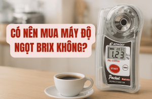 Có Nên Mua Máy Độ Ngọt Brix Không?