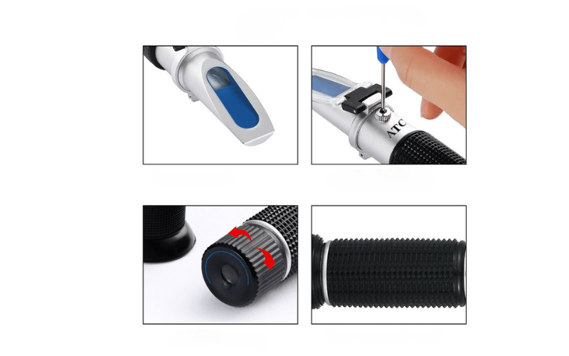 Hỗ trợ quy trình chế biến và xuất khẩu