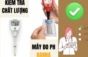 Kiểm Tra Chất Lượng Bút Đo pH Hanna: Đánh Giá và Sử Dụng