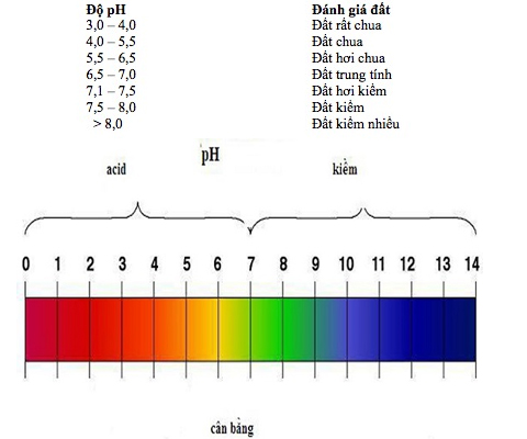 Bảng đo pH trong môi trường đất