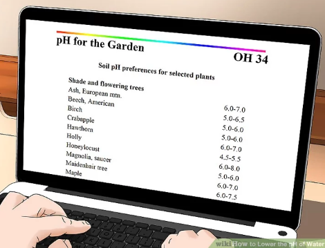 Kiểm tra độ pH của cây trồng thích ứng trong khoảng pH nào