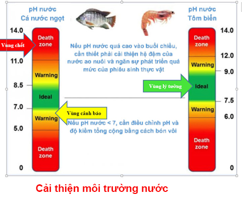 Sử dụng máy đo pH cải thiện môi trường nuôi trồng thủy hải sản