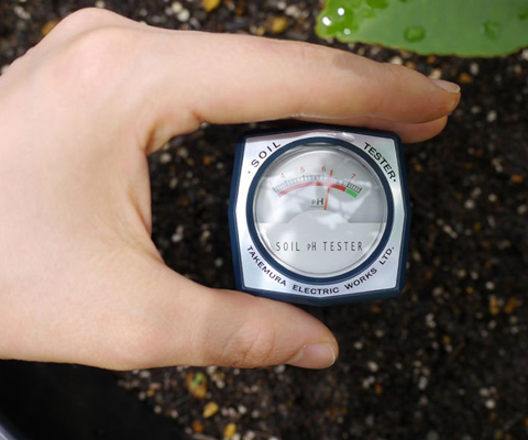 Sử dụng thiết bị đo độ pH đất