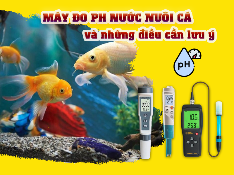 máy đo pH nước nuôi cá và những điều cần lưu ý