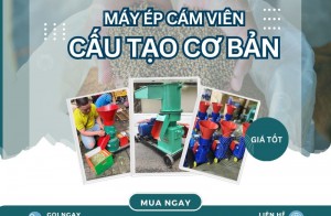 Cấu tạo cơ bản của một chiếc máy ép cám viên hoàn chỉnh? Có nên tự chế máy làm cám hay không?