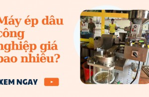 Máy ép dầu công nghiệp giá bao nhiêu?